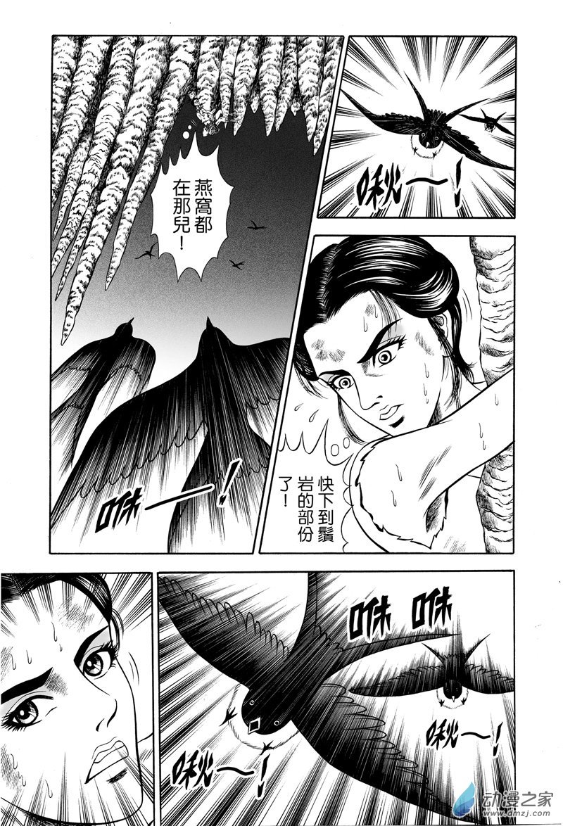 黄金血燕（五）