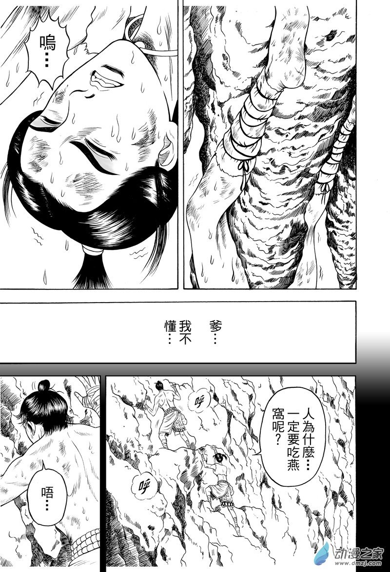 黄金血燕（五）