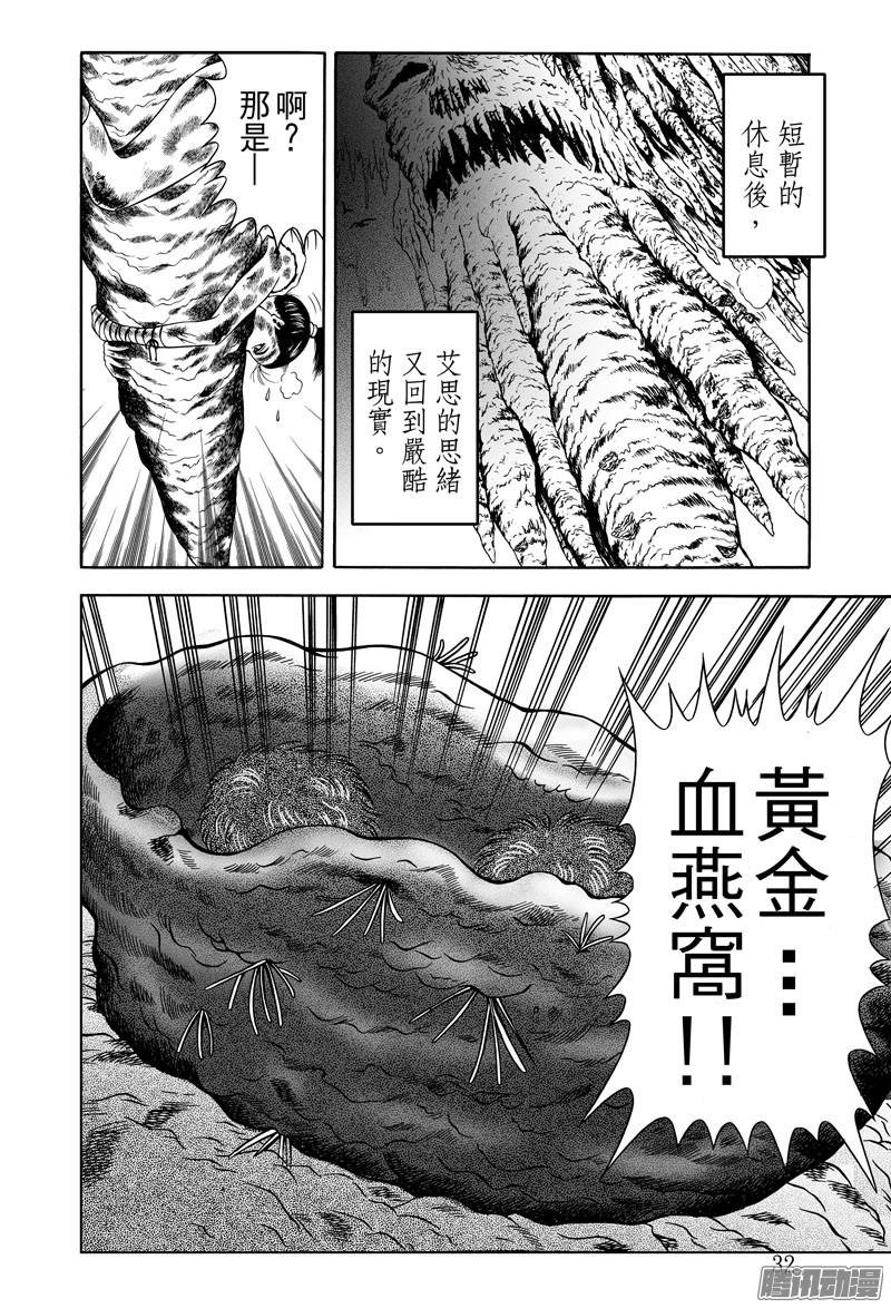 黄金血燕（九）