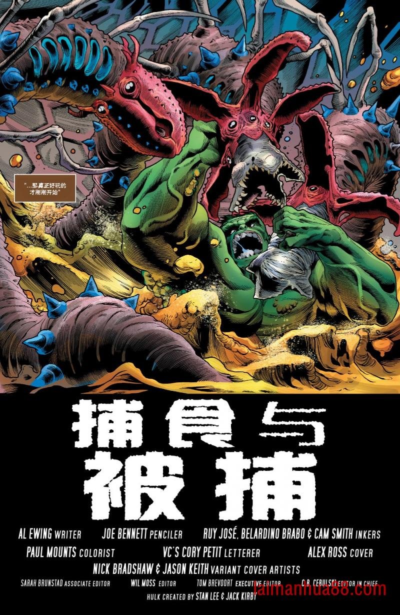 第29卷