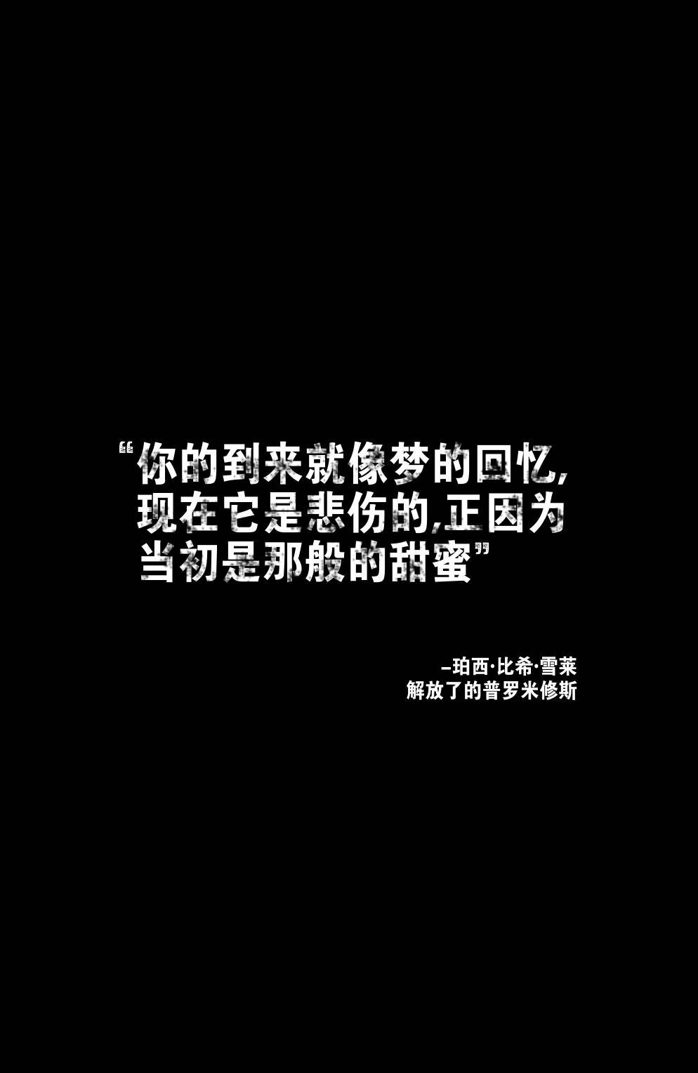第31卷