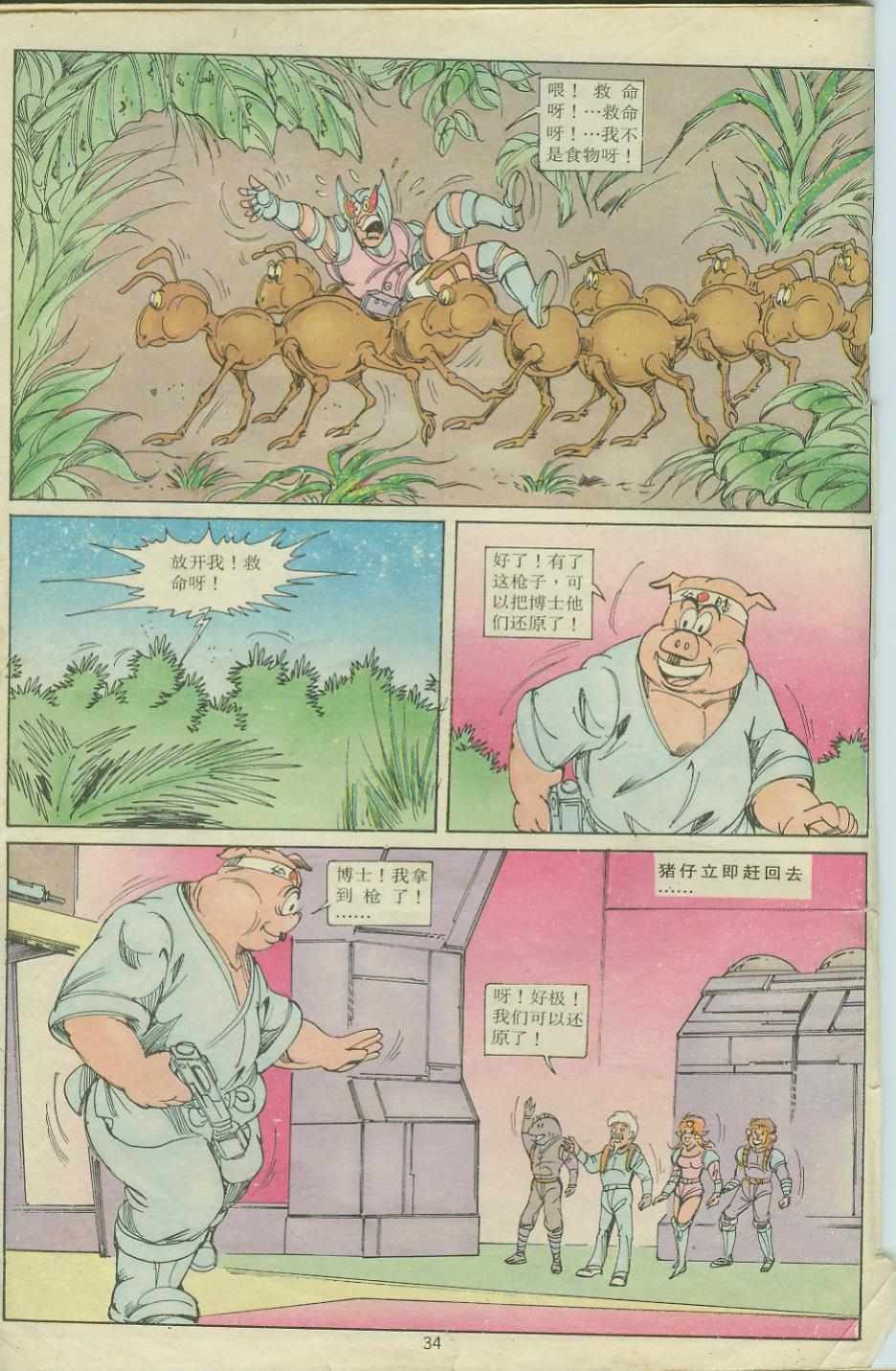 第24卷