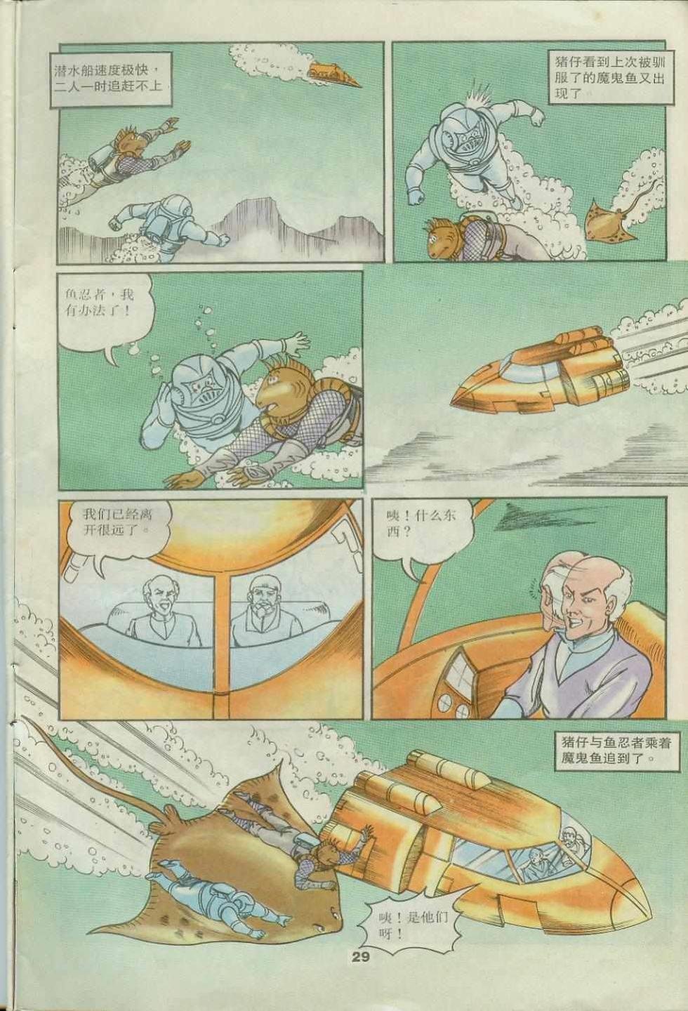 第31卷
