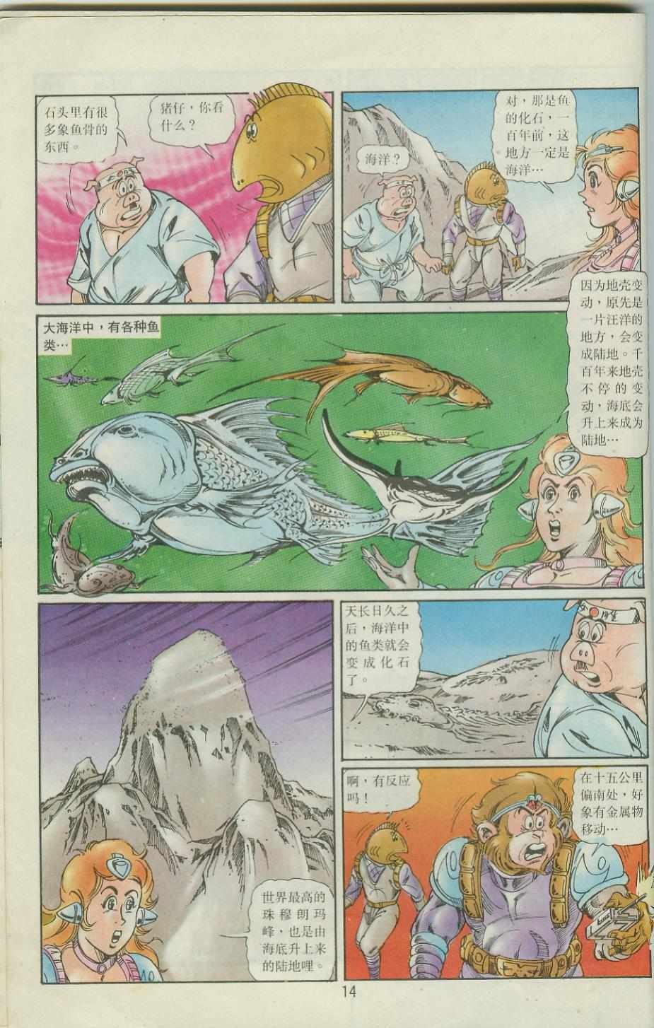 第41卷
