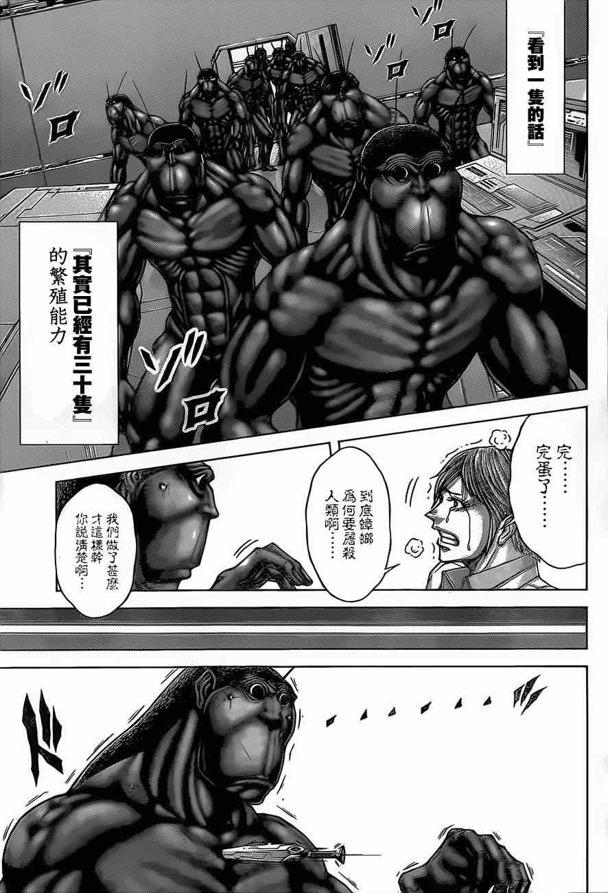 动画开播特别短篇