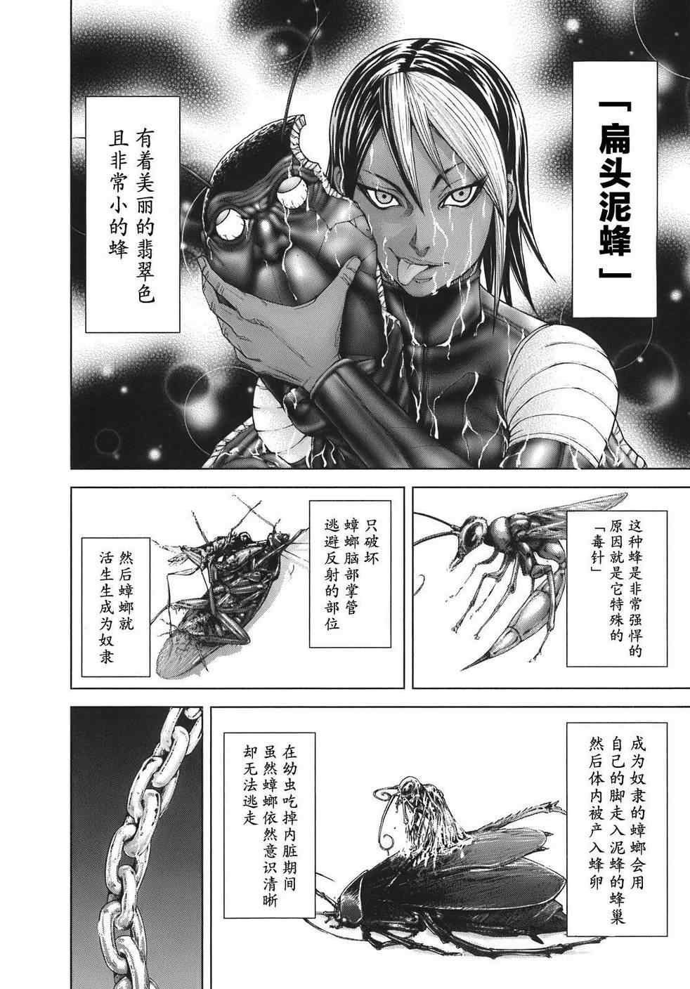 前传5
