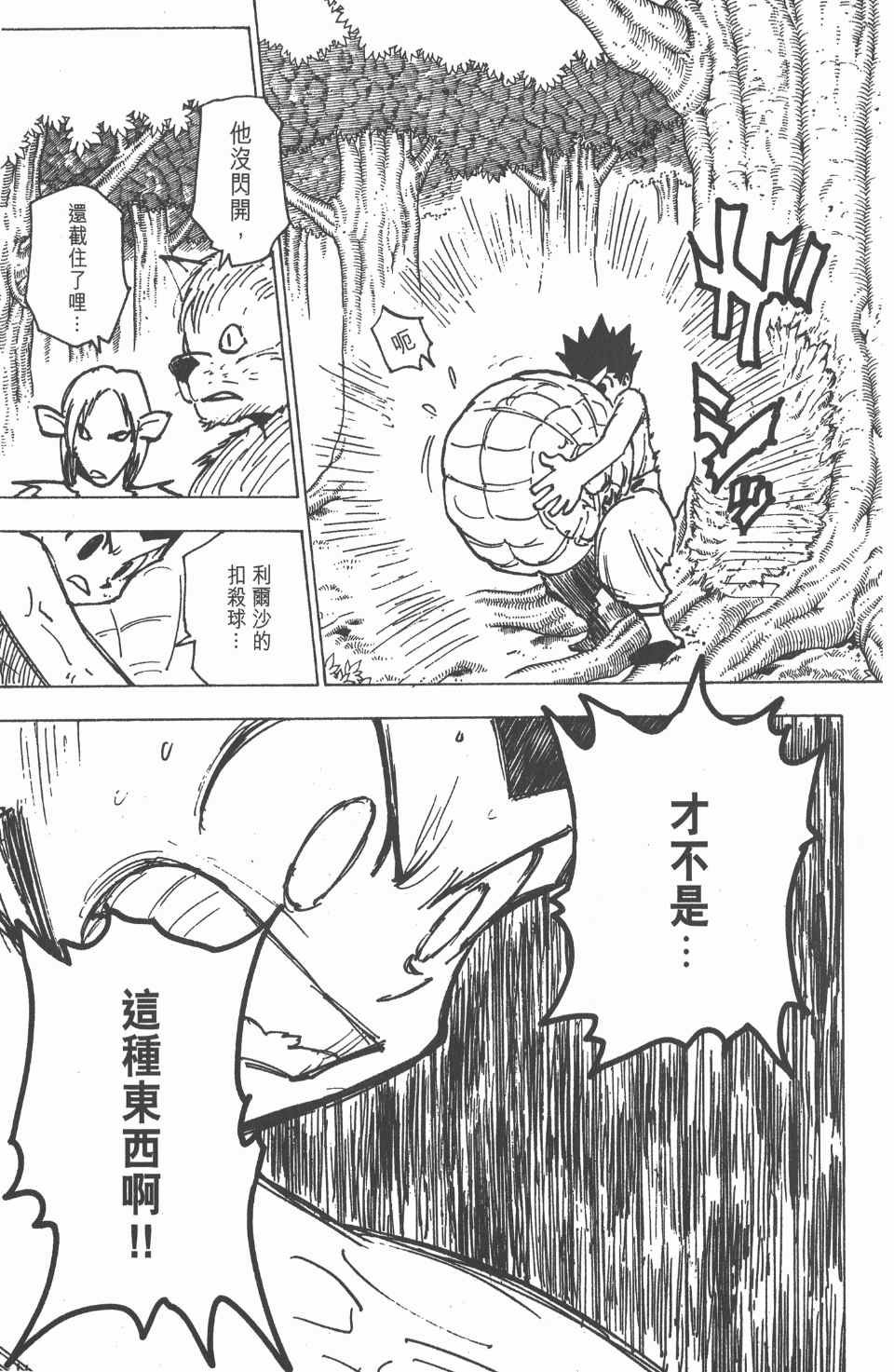 第19卷