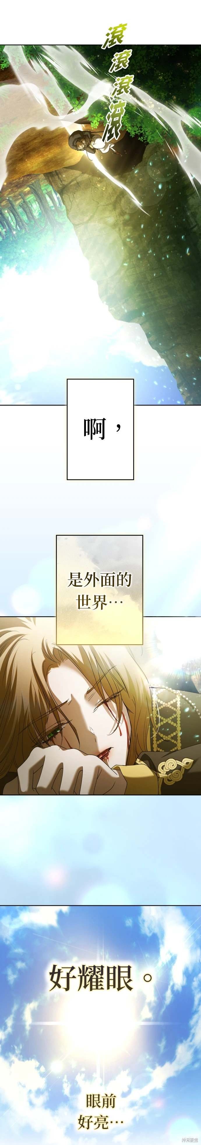 第217话
