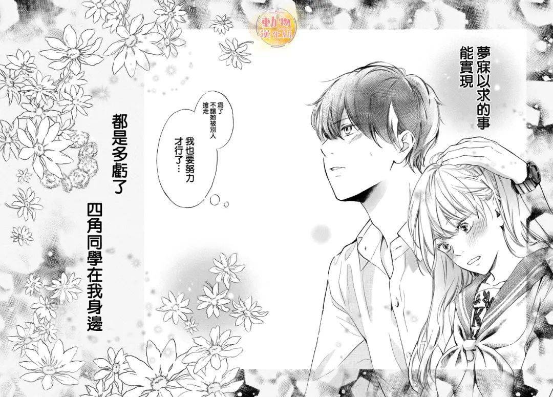 第12话 我们的梦想