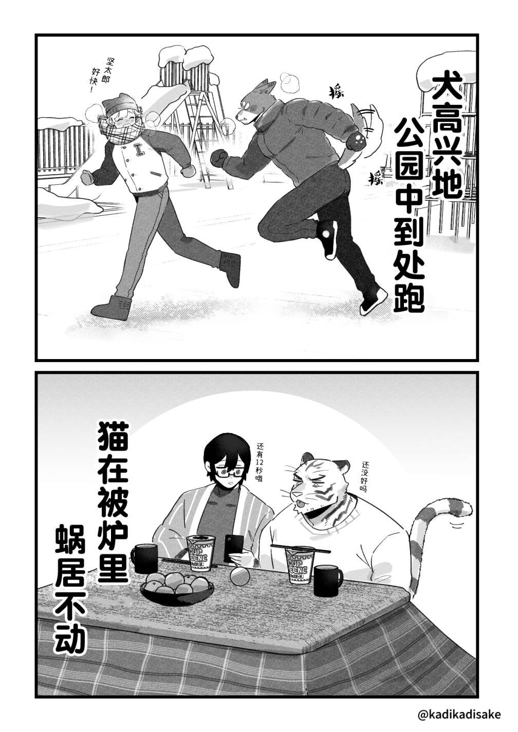 元旦的犬猫兔