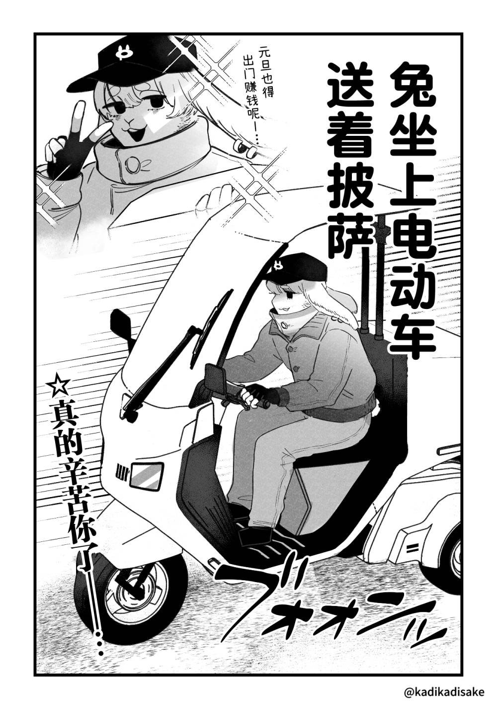元旦的犬猫兔