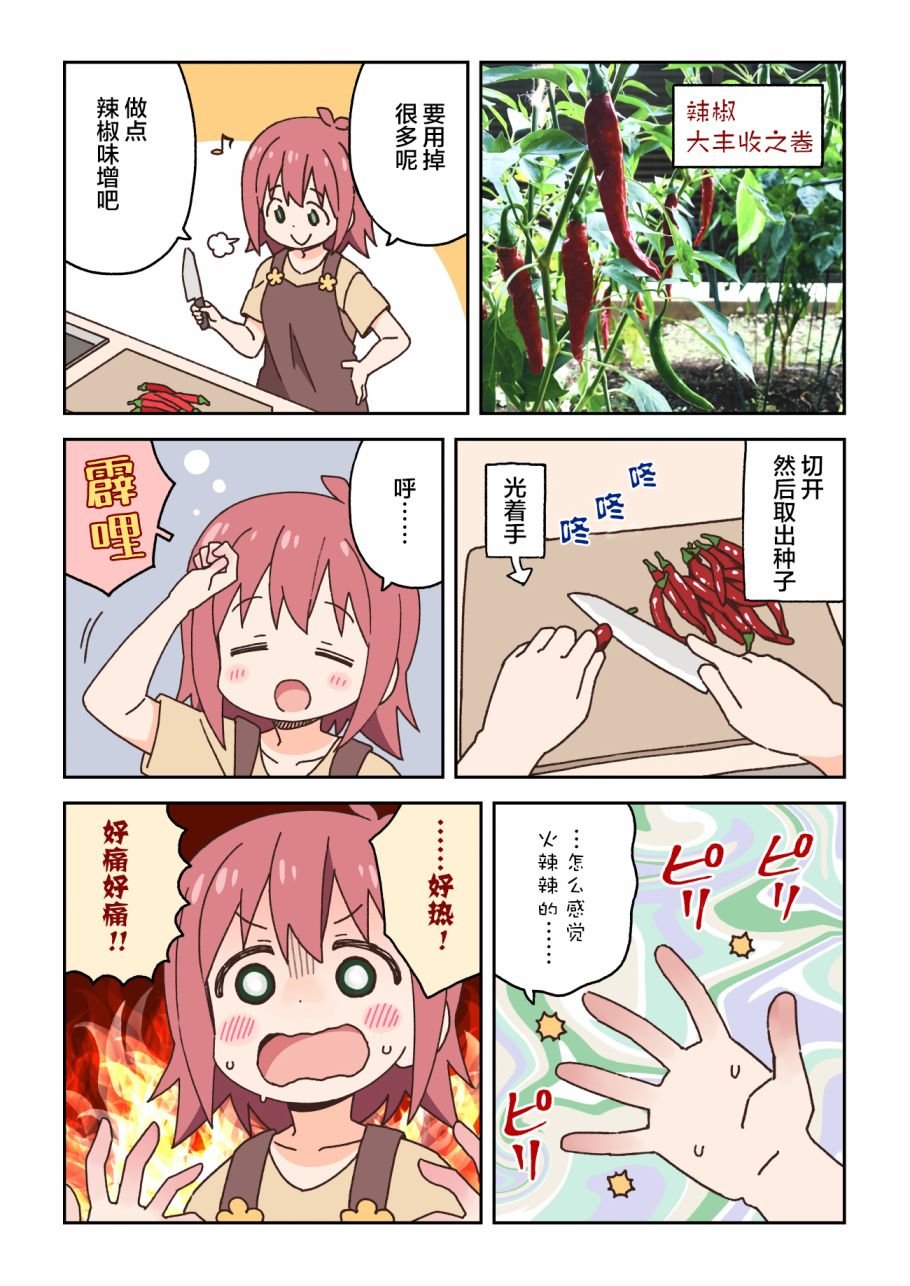 烹饪辣椒的小插曲