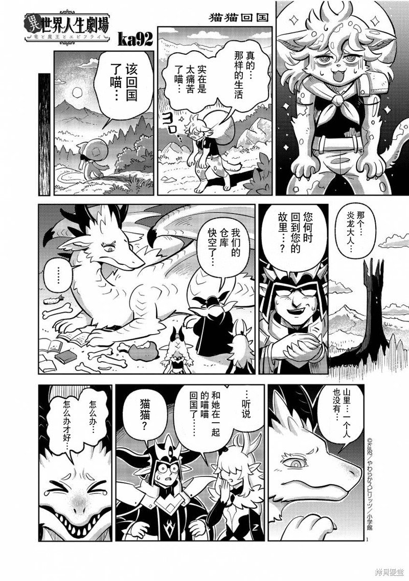 猫猫回国