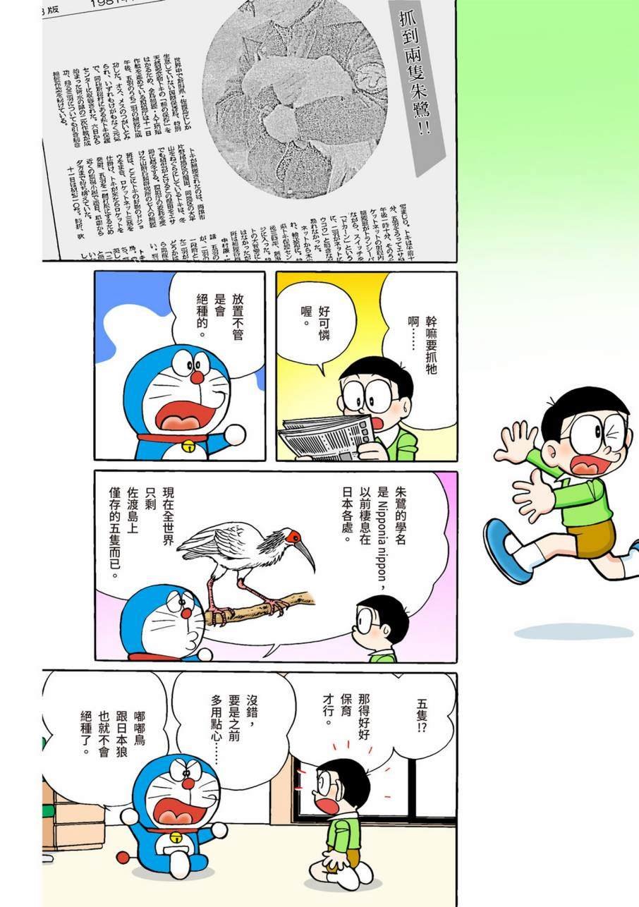 大合辑全彩09