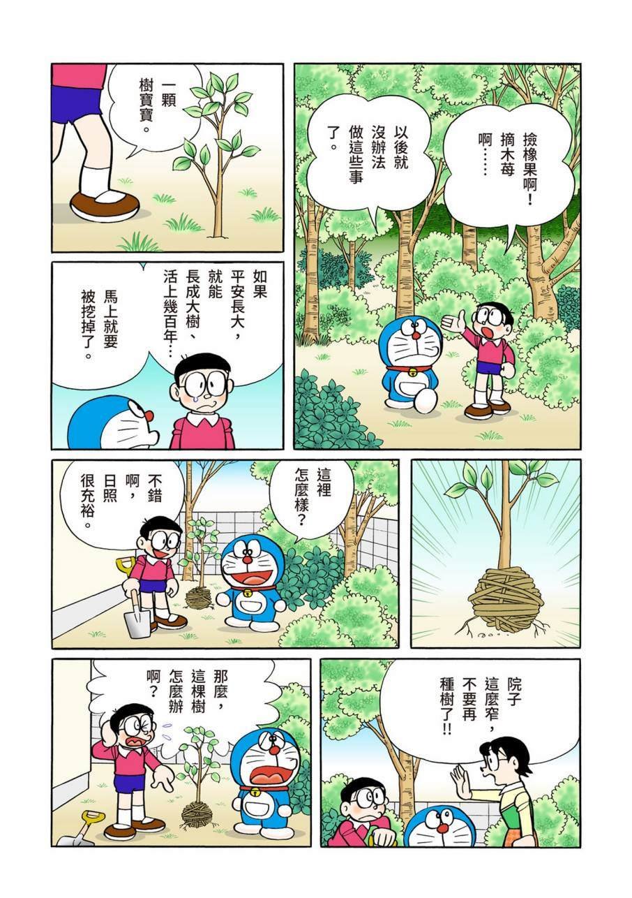 大合辑全彩11