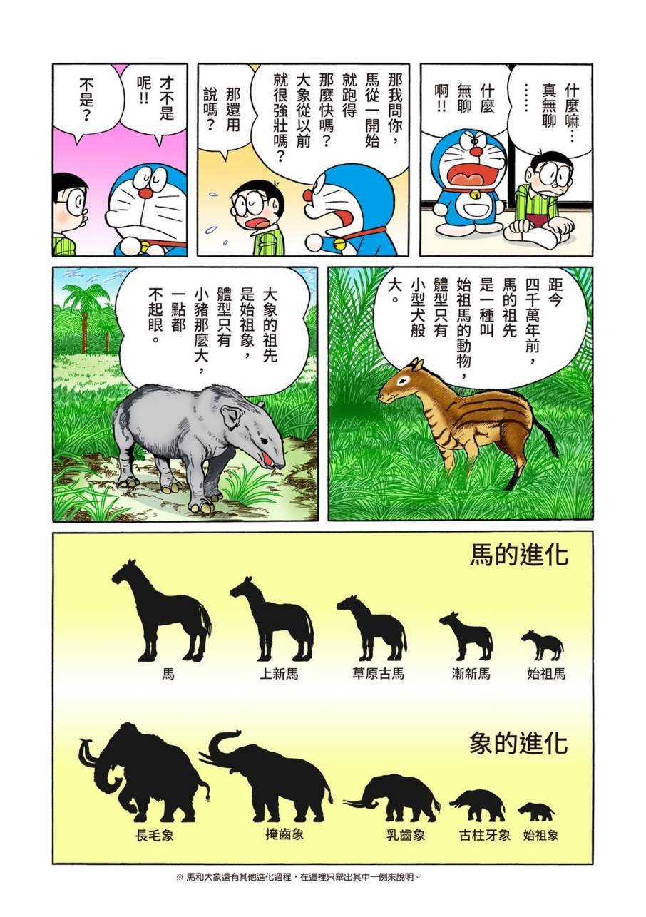 大合辑全彩11