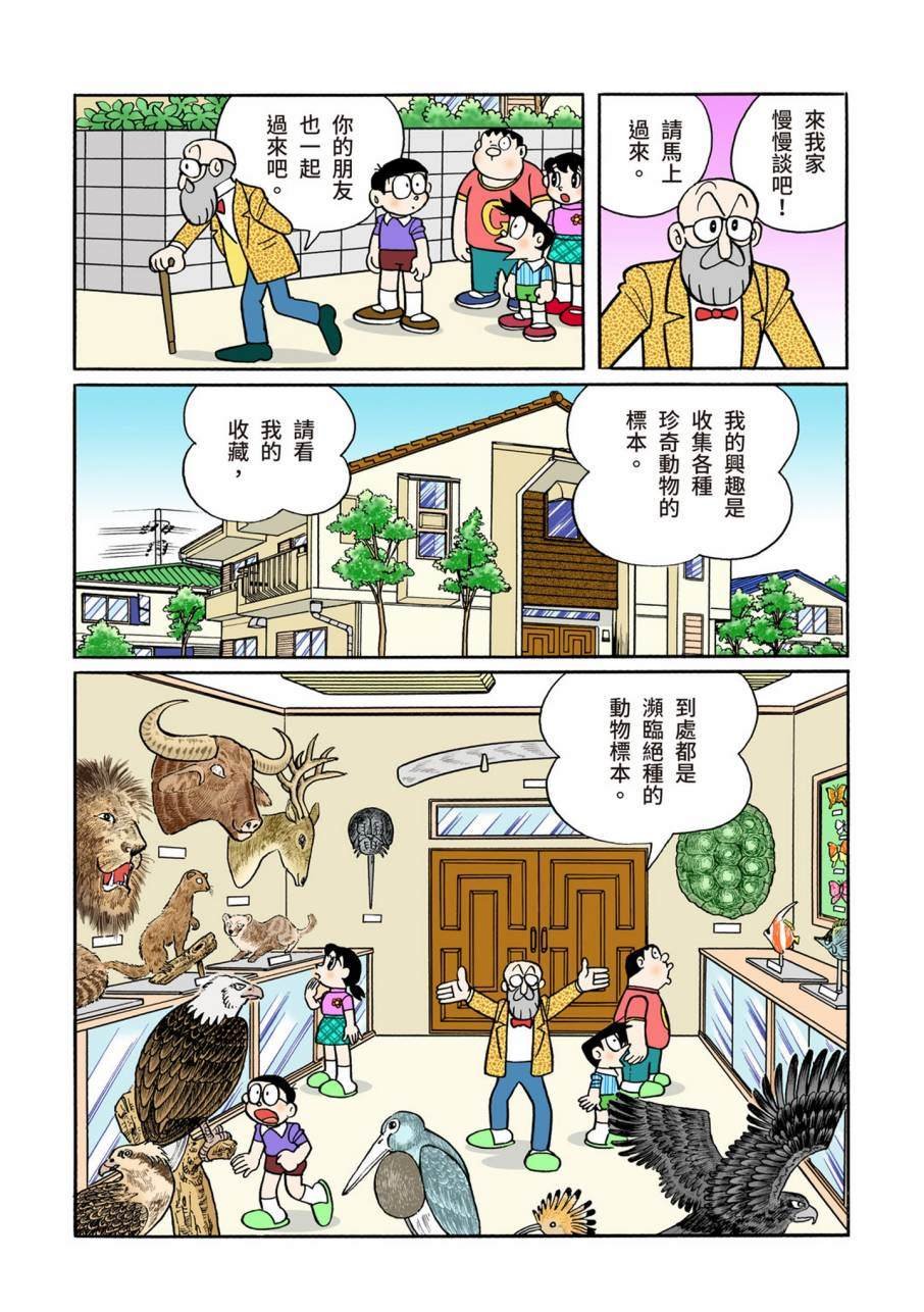 大合辑全彩11
