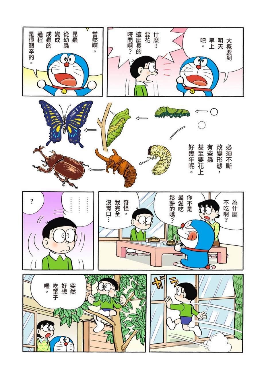 大合辑全彩07