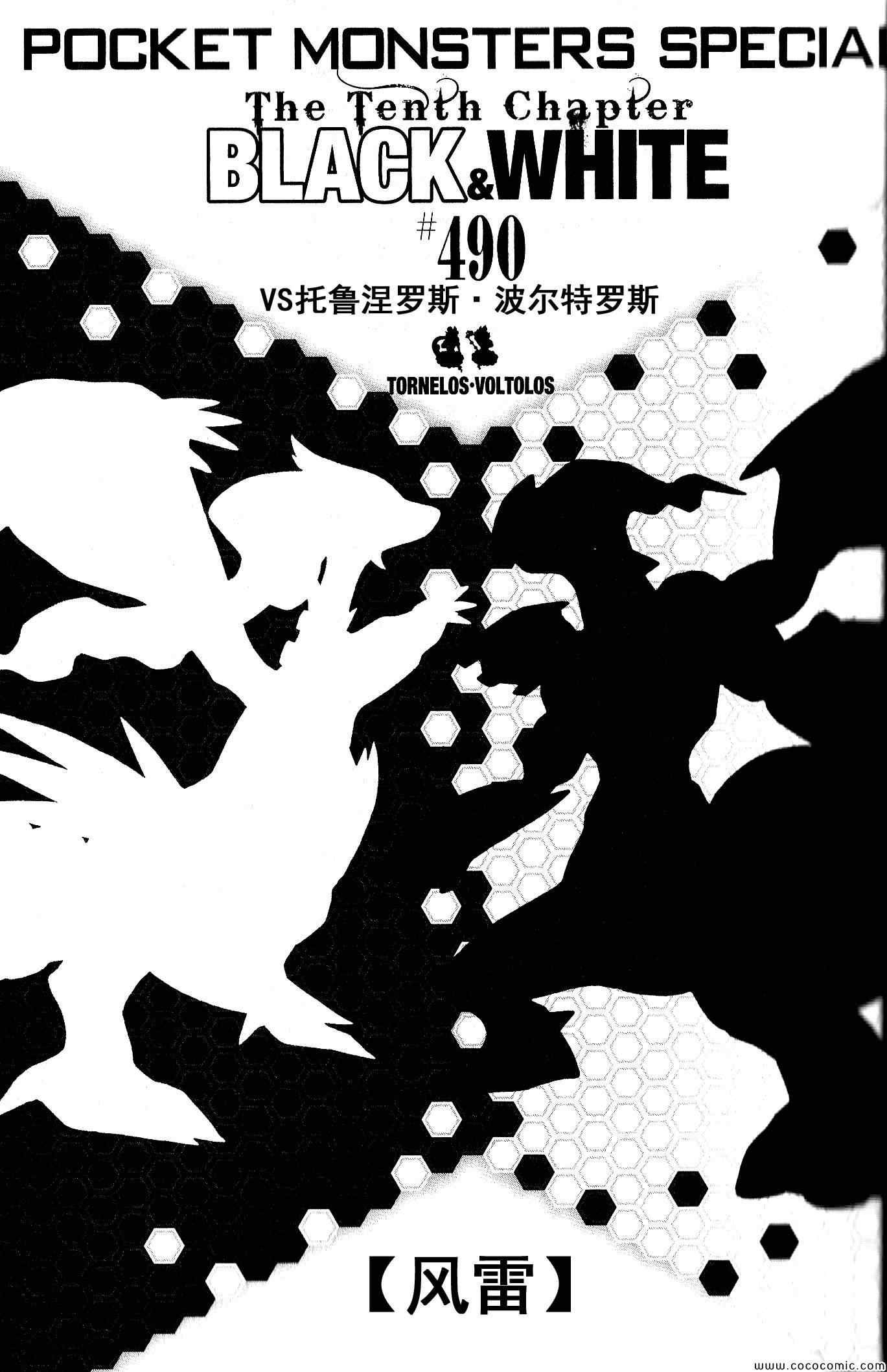 第490话 VS雷风の妖♂精