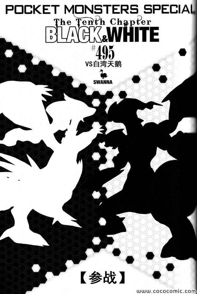 第495话 VS白湾天鹅