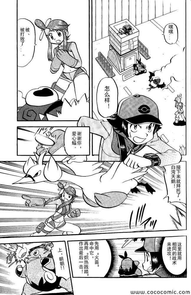 第495话 VS白湾天鹅