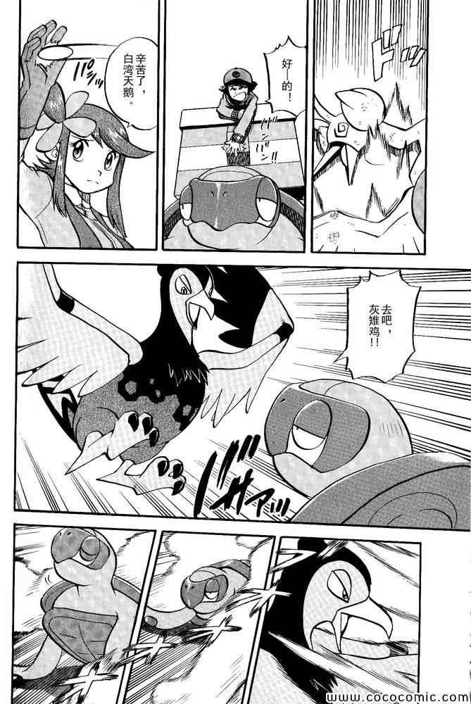 第495话 VS白湾天鹅