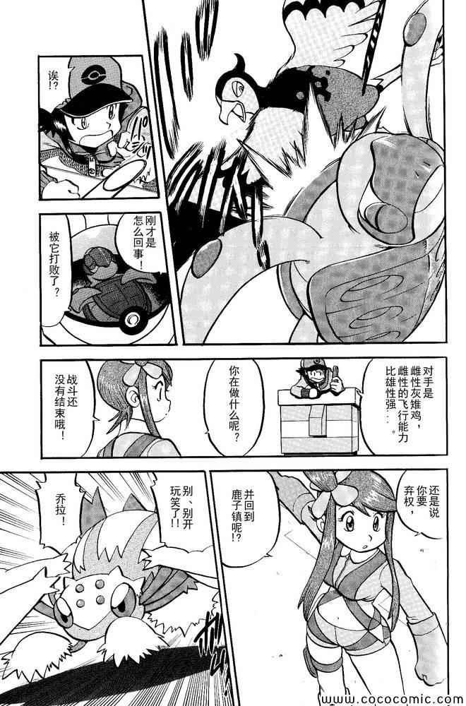 第495话 VS白湾天鹅