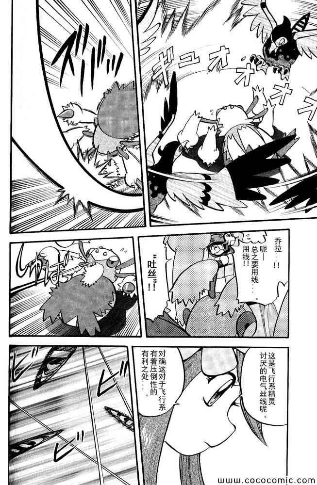 第495话 VS白湾天鹅
