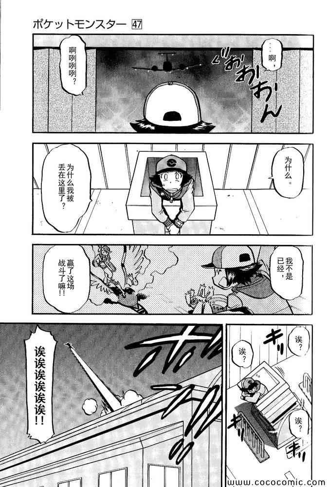 第495话 VS白湾天鹅