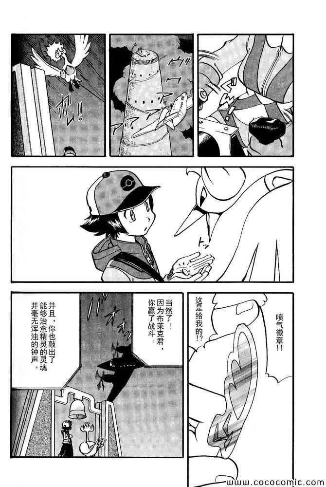 第495话 VS白湾天鹅