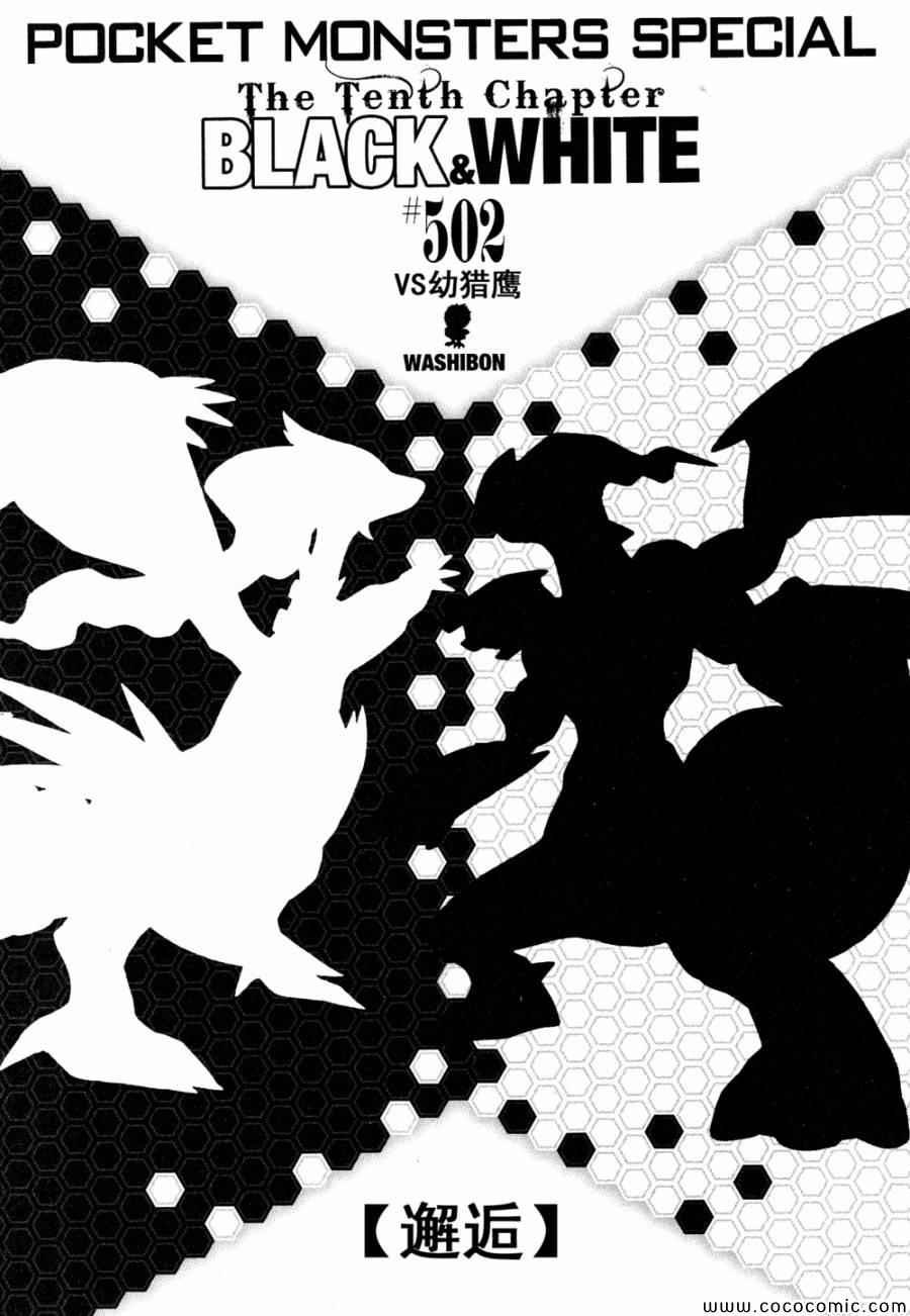 第502话 VS幼猎鹰