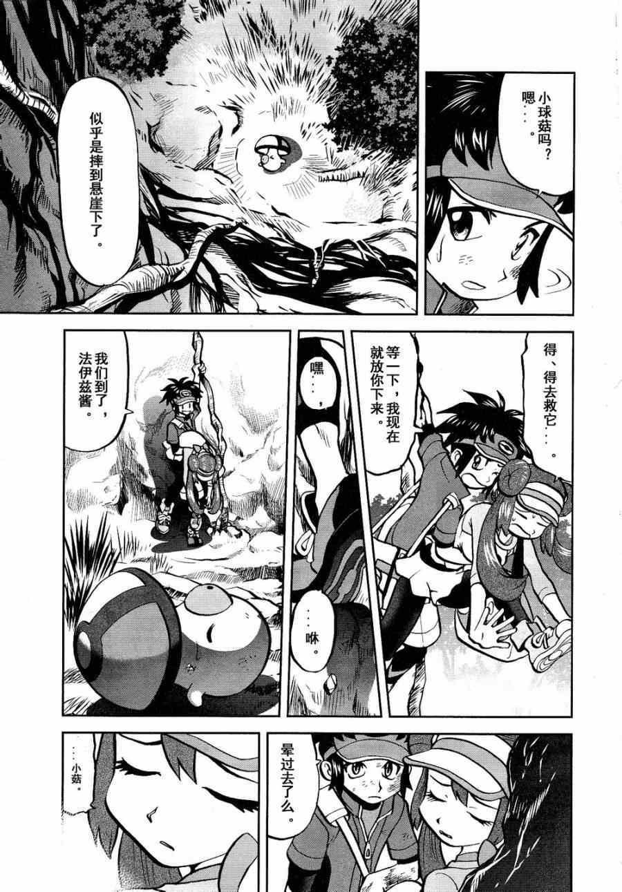 第529话 图鉴教学