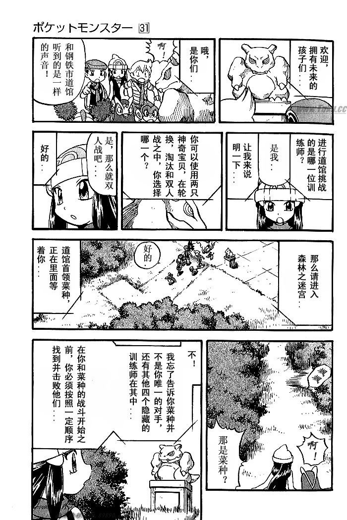 第31卷