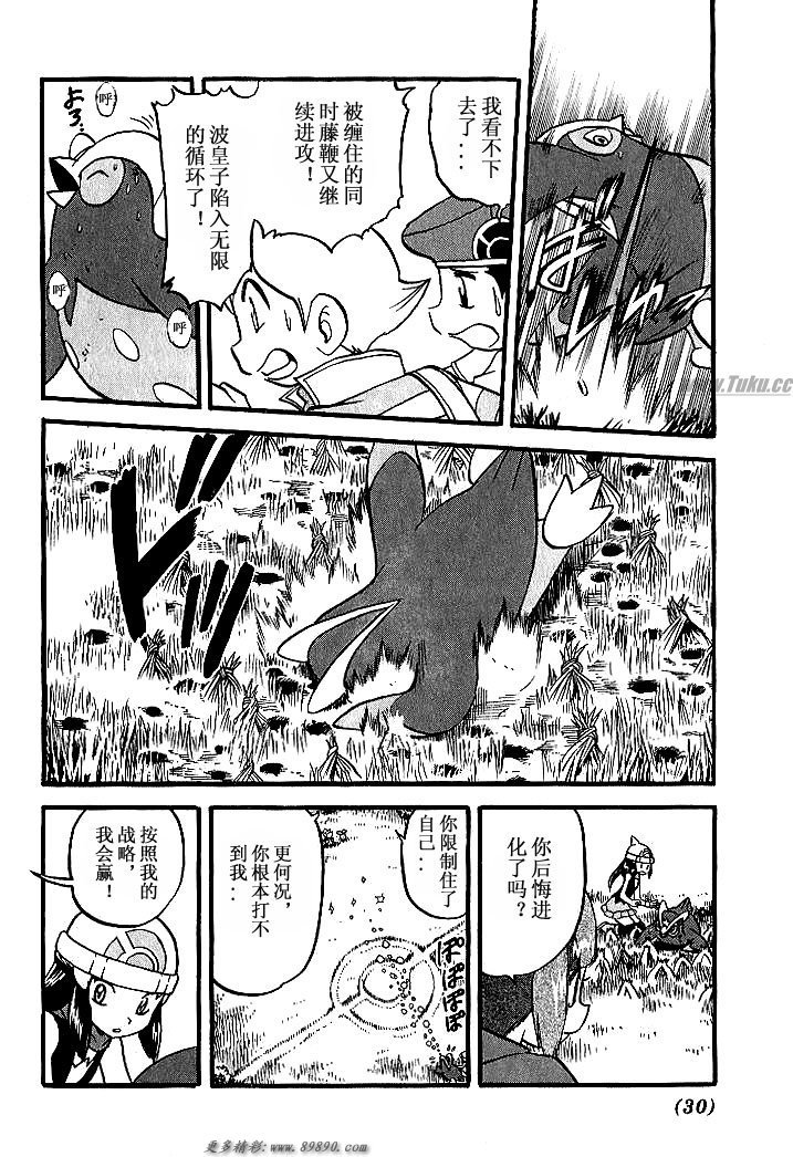第31卷