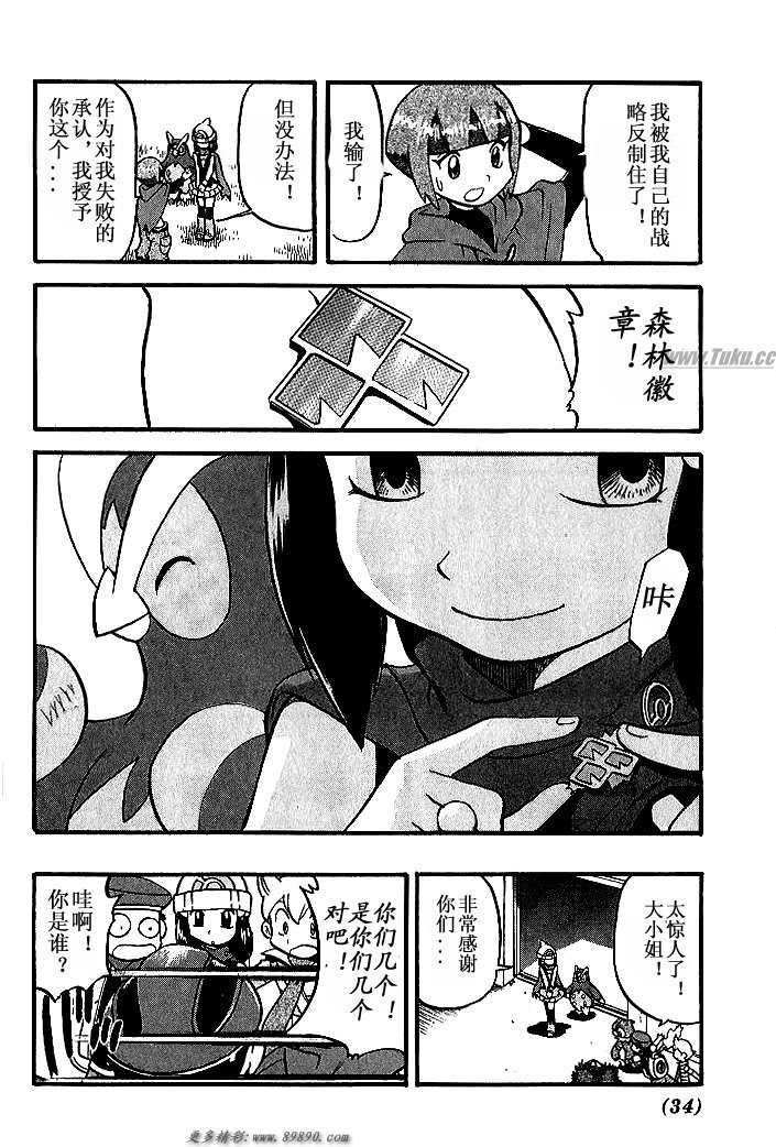 第31卷