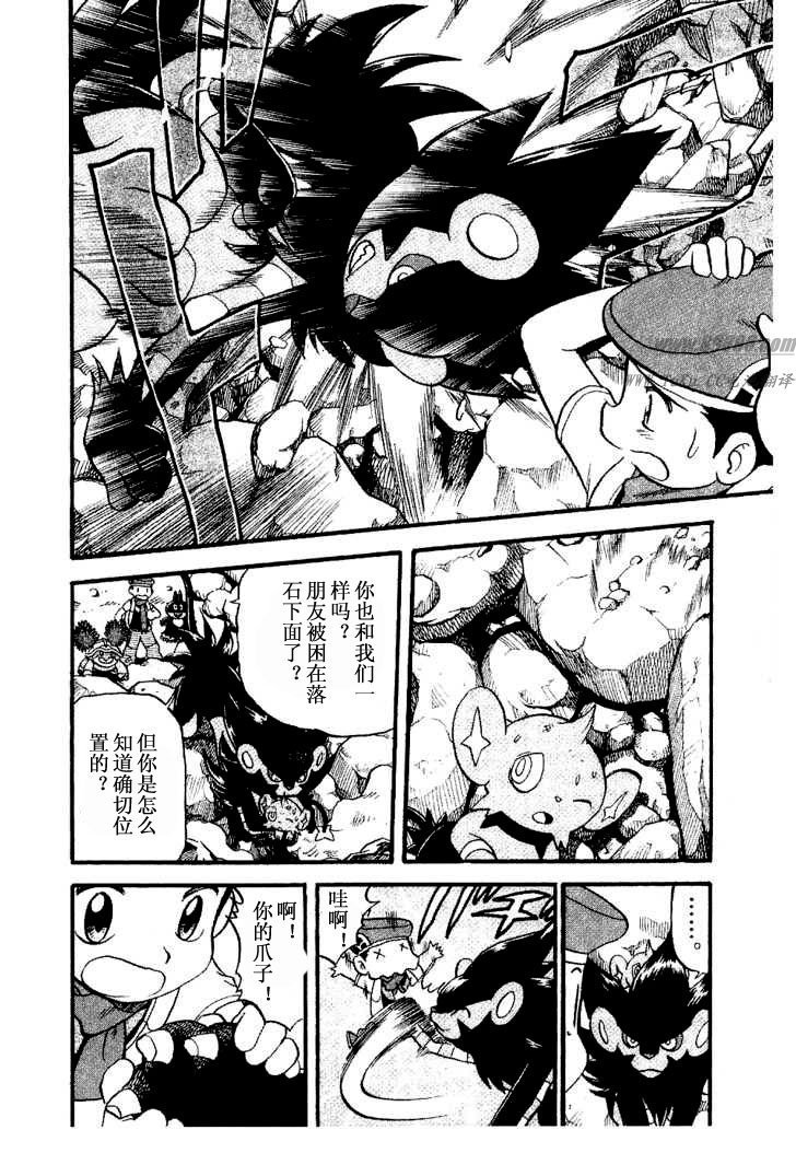 第31卷