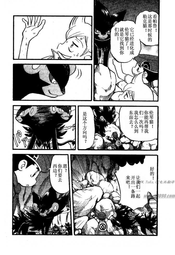 第31卷