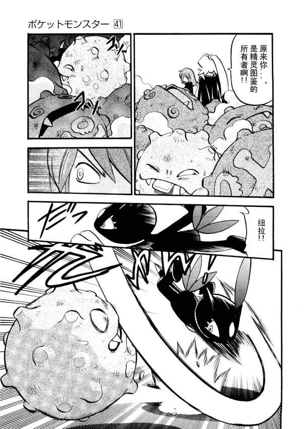 第41卷