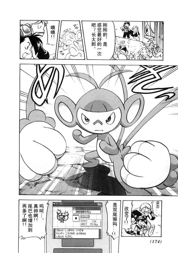 第41卷