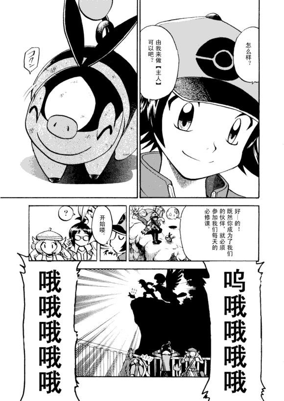 第43卷