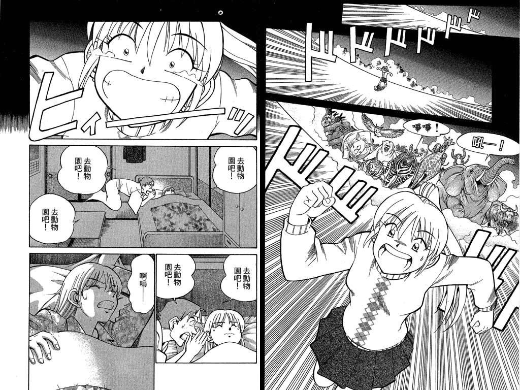 第11卷