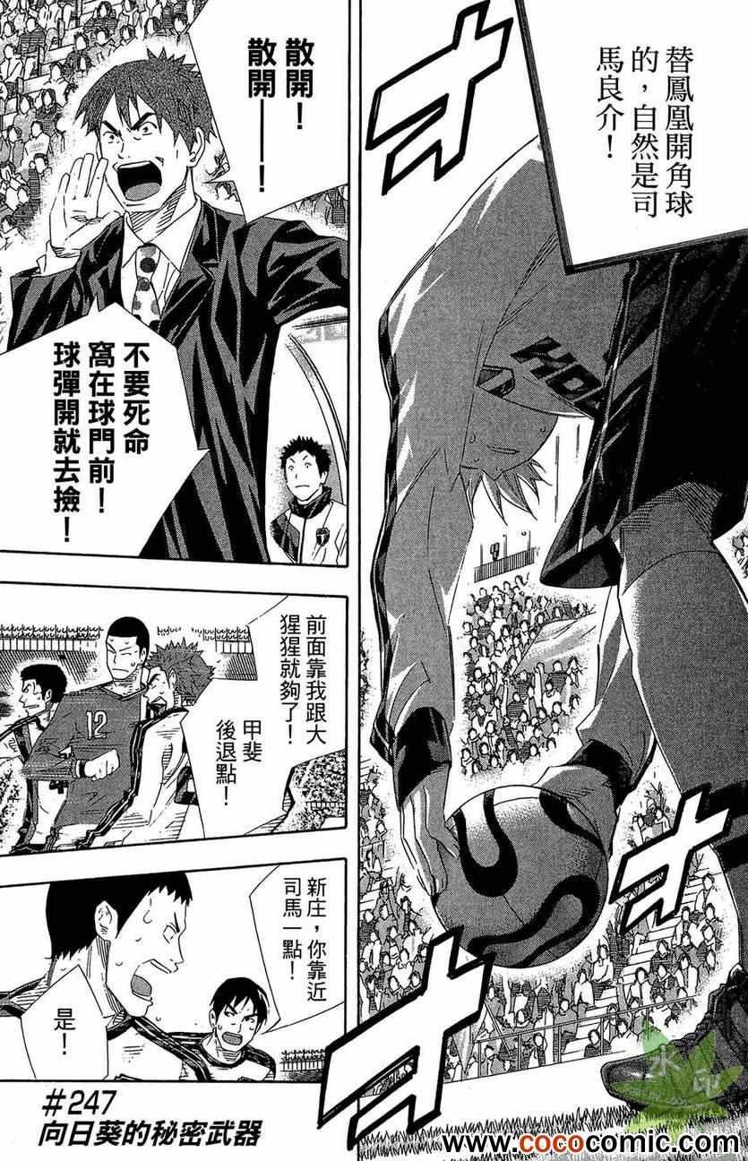 第29卷