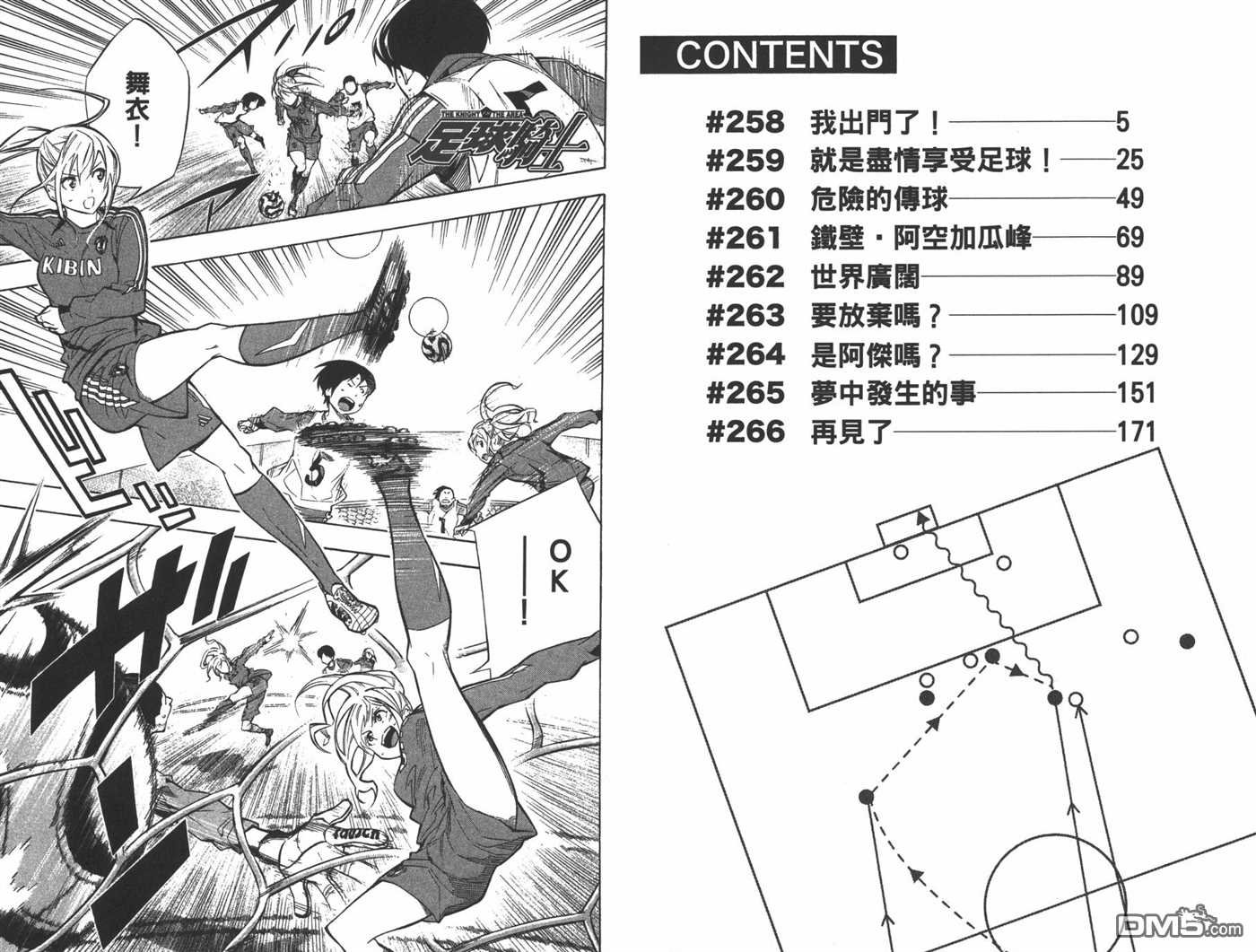 第31卷