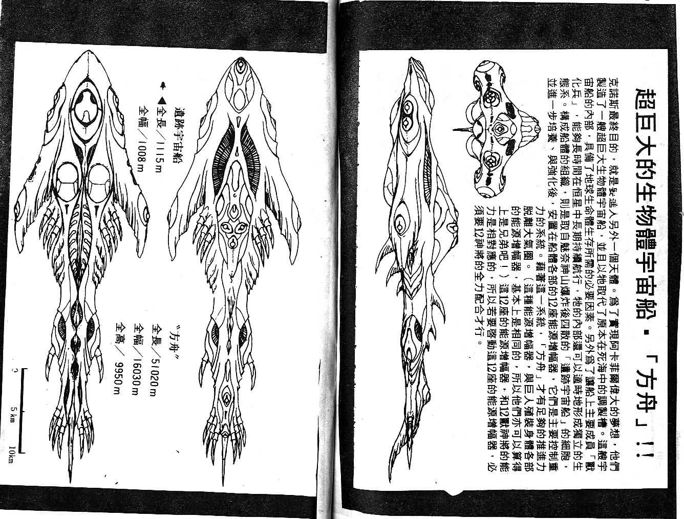 第11卷