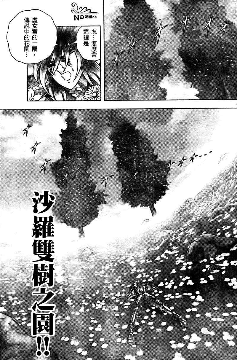 第50话 伟大的光