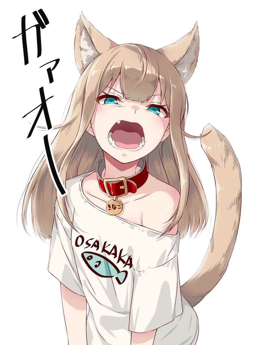 露出胖次 2.22猫之日