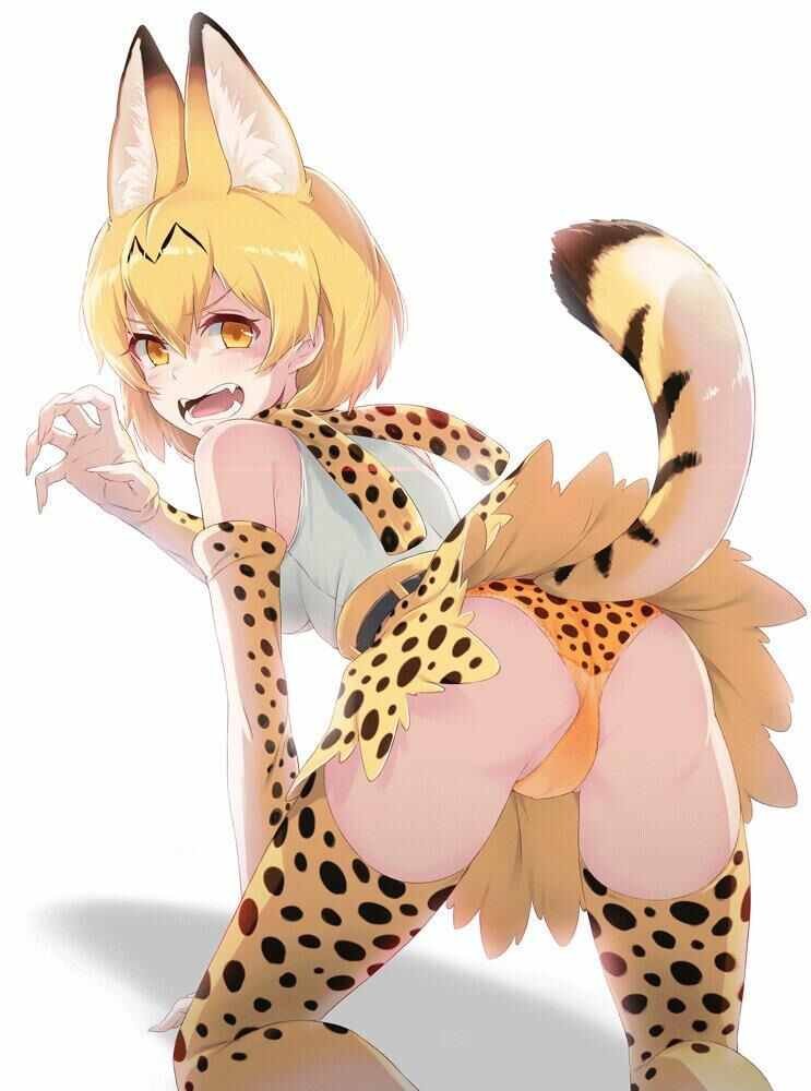 露出胖次 P站图03薮猫