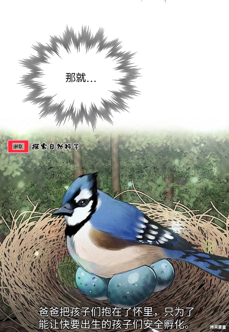 第104话