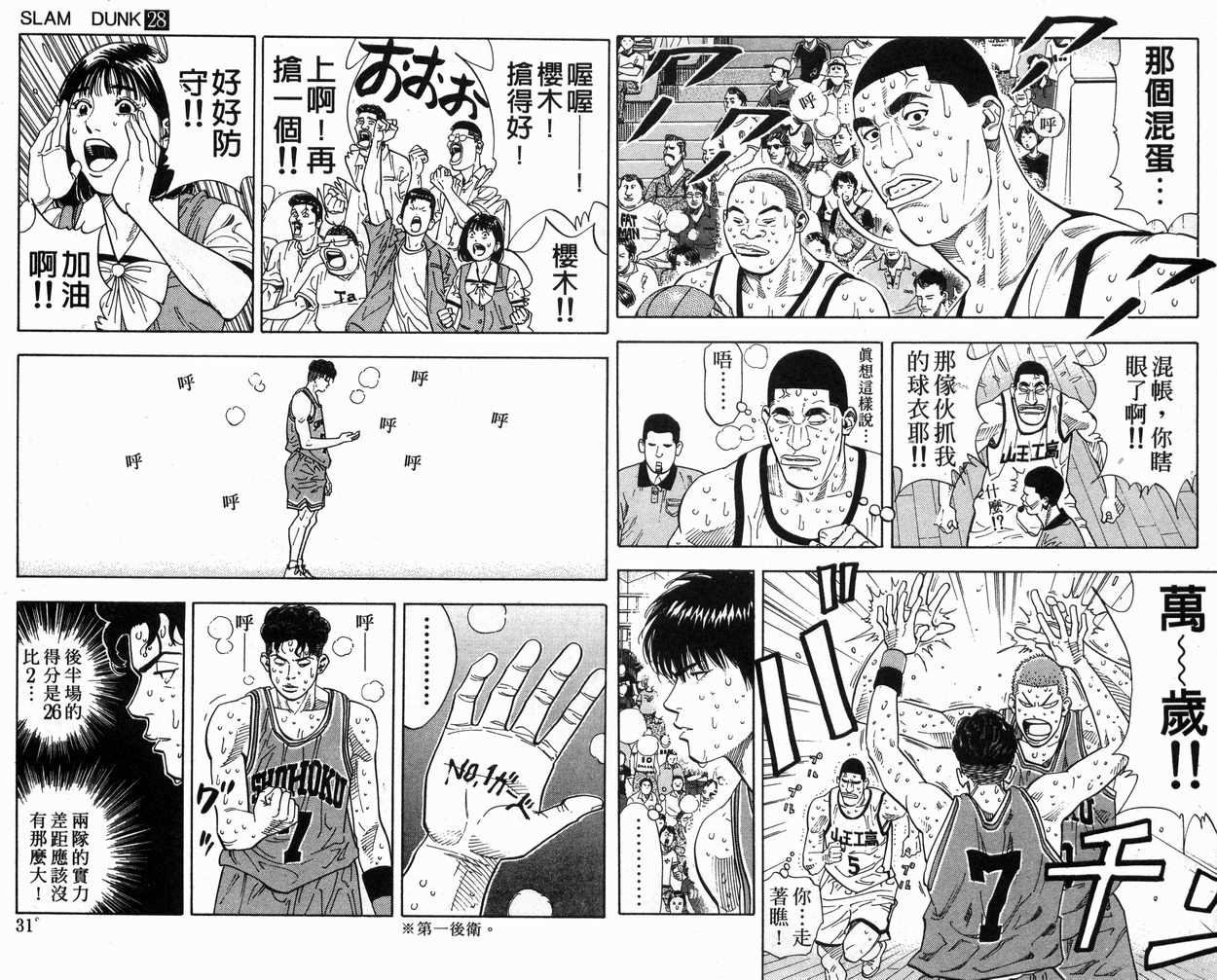 第28卷