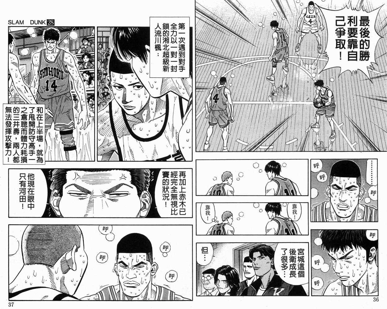 第28卷